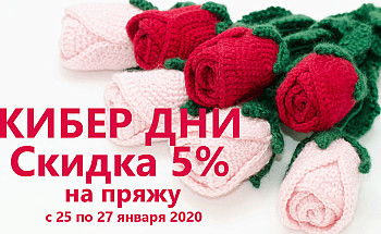 Кибер дни
