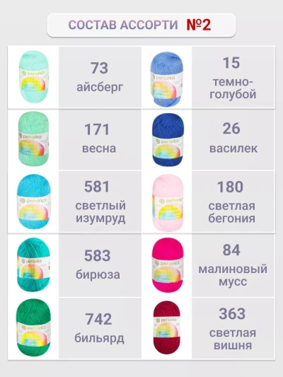 Набор пряжи Пехорка «Детская новинка» Ассорти 2