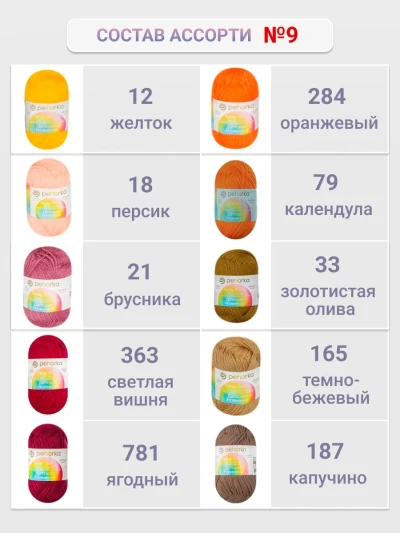Набор пряжи Пехорка «Детская новинка» Ассорти 9