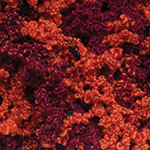 Пряжа O LA LA YarnArt - (570 - Оранжевый, бордо)