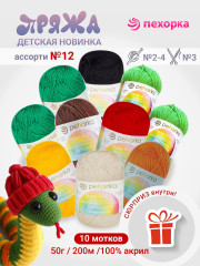 Набор пряжи Пехорка «Детская новинка» Ассорти 12