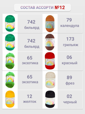 Набор пряжи Пехорка «Детская новинка» Ассорти 12