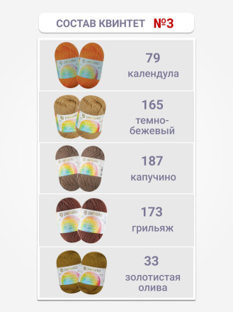 Набор пряжи Пехорка «Детская новинка» Квинтет 3
