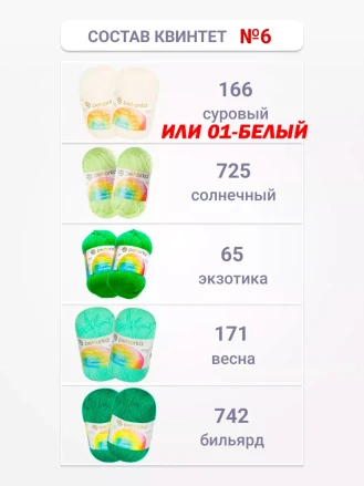 Набор пряжи Пехорка «Детская новинка» Квинтет 6